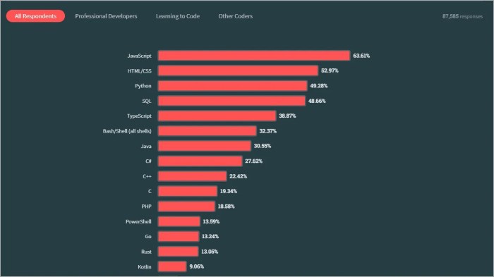 The Most Popular JavaScript Frameworks of 2023