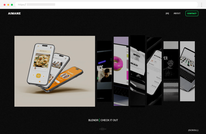 Web development portfolio projects ideas